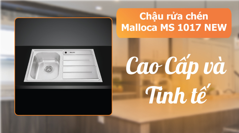 Chậu rửa chén Malloca MS 1017 NEW - Cao cấp và tinh tế